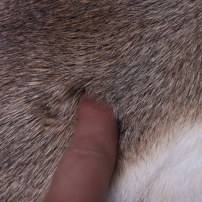 animal fur fabric rex rabbit skin fur plate