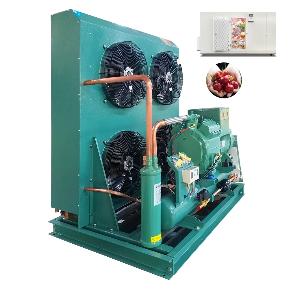 Cold storage refrigeration unit reciprocating blast freezer compressor condenser unit for cold room