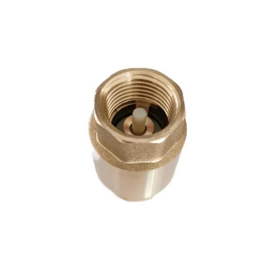 1/2 Inch Brass Spring Loaded Check Valve with ABS Core
