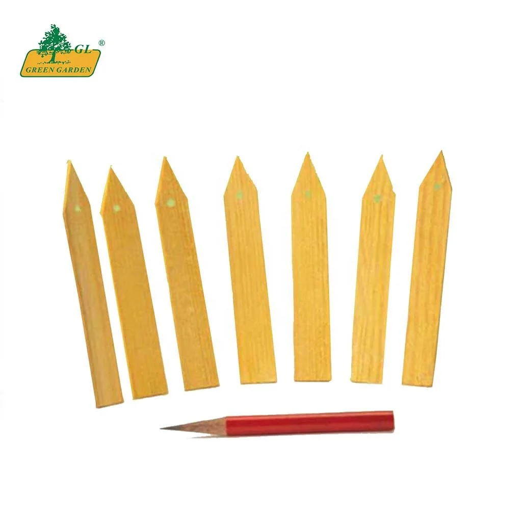 Garden Hang Tag Decoration Supply Hanging Tree Seedling Fruit Trees Signs Plastic Plant Label Tags