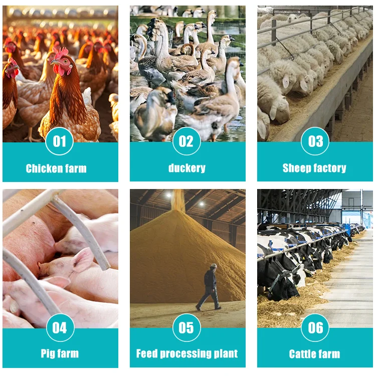 Best selling Vertical Chicken Pig Animal Feed Corn Grain Grinder Vertical Feed Mixer With Feeding System