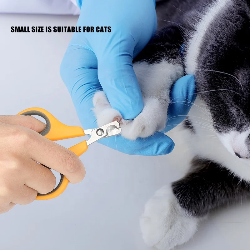 Factory Wholesale Small Large Pet Nail scissors Dog Nail Cutter Cat Dog Nail Clipper