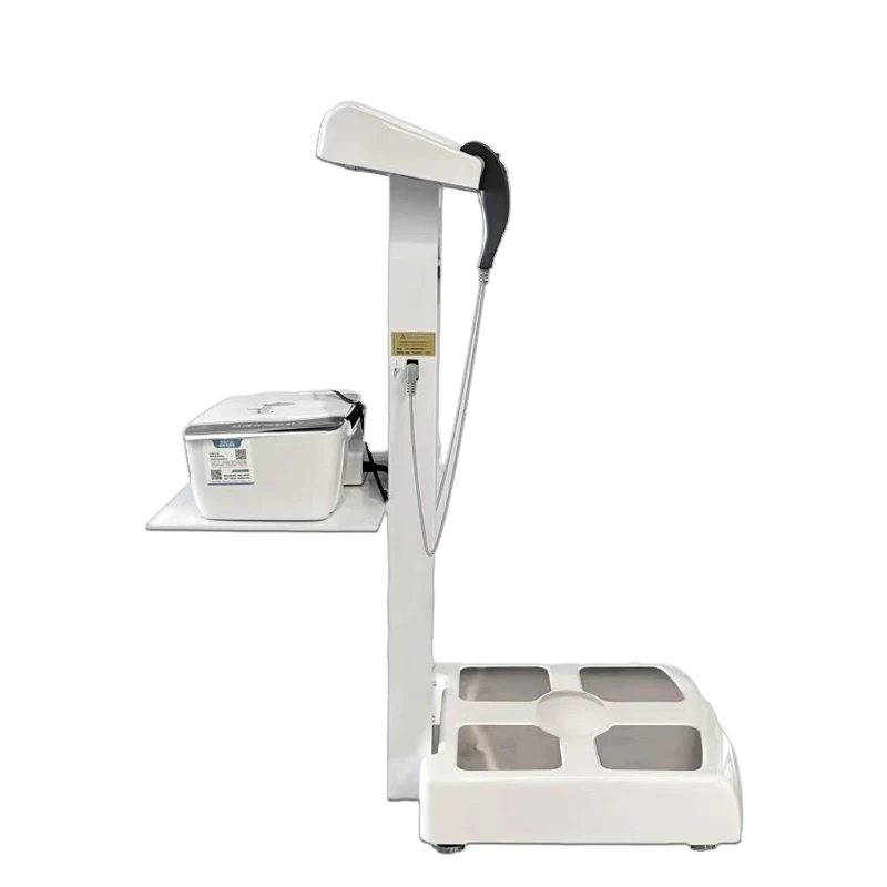 Professional Fixed Digital Portable Bmi Full Body Composition Scan Fat Scale Body Health Analyzer Machine