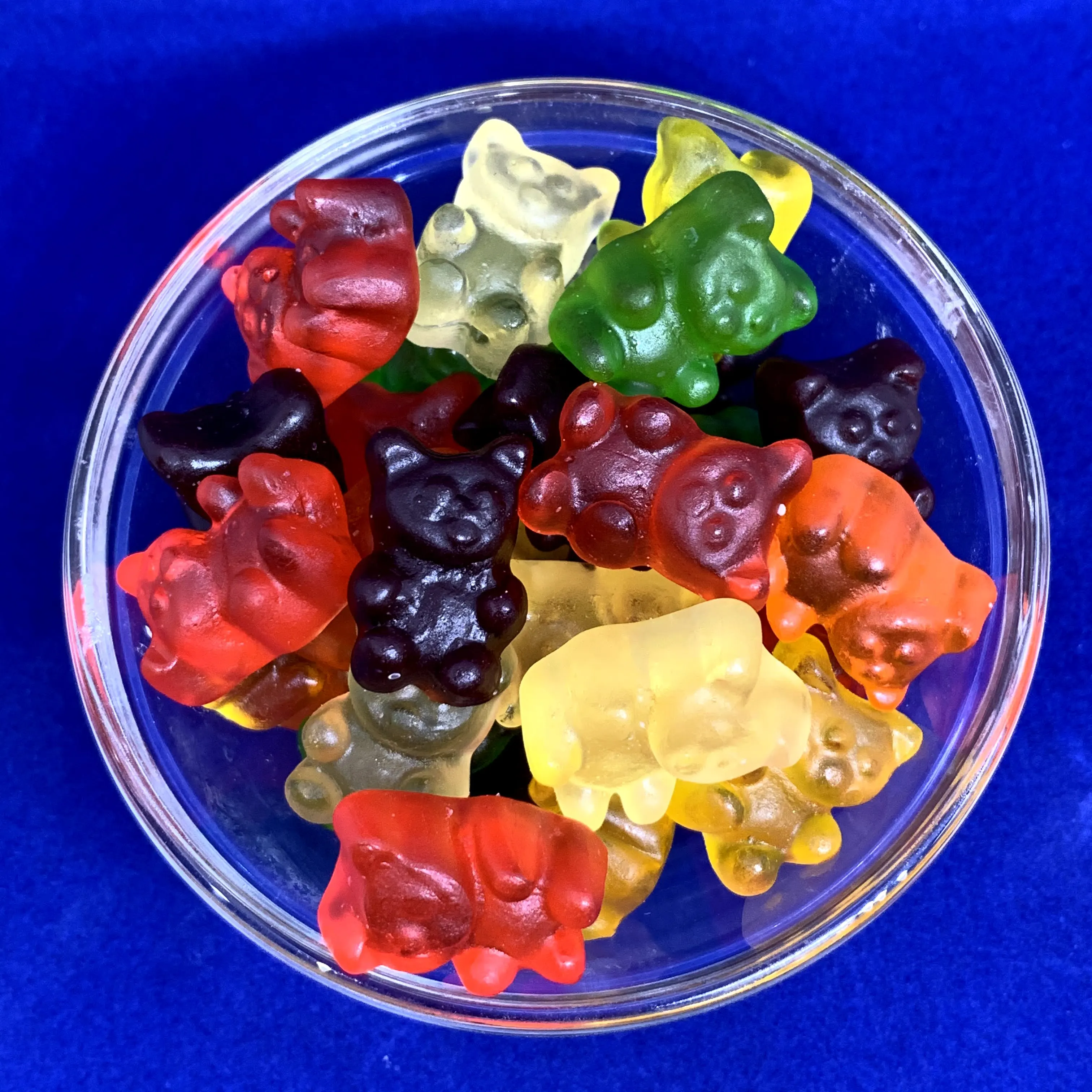 SWEETS CLEAR GUMMY CANDY GRIZZLY BEARS BULK GUMMY