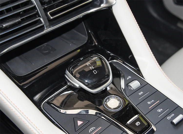 2023 Fast Shipping Electronic Parking 81KW 110PS Auto Motives Sport Car