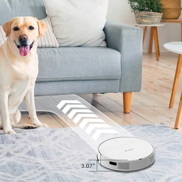 Entry Level Mop Dry Clean Auto Dust Robot Vacuum Cleaner With Intelligent Collision