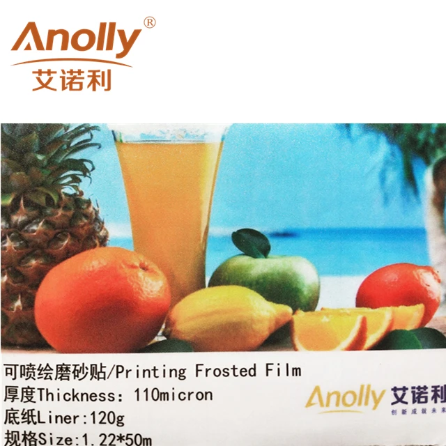 Anolly  New Style Home Decorative Glass Printing Frosted Film