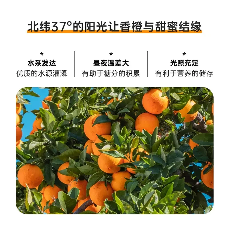 Fruit juice beverage One pen 100% orange juice No added sugar 1L*12