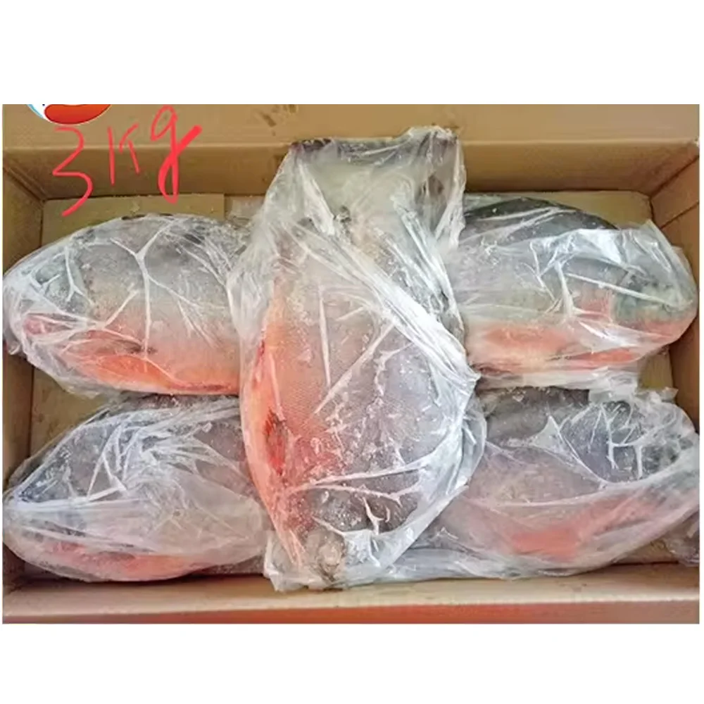 Китай замороженная красная рыба Паку морепродукты Помфрет