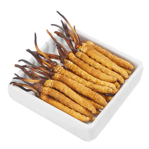 whole organic cordyceps sinensis cordyceps militaris Mushroom cordyceps sinensis cordyceps mushroom