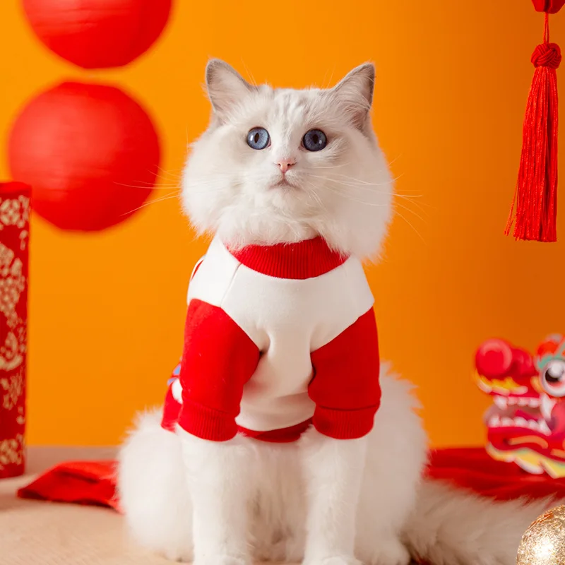 Костюм для собак