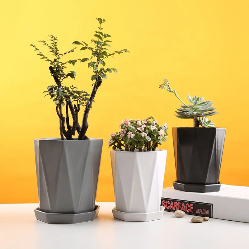 Manufacturer Designer Planting Custom Portable Plastic Decor Flower Pots