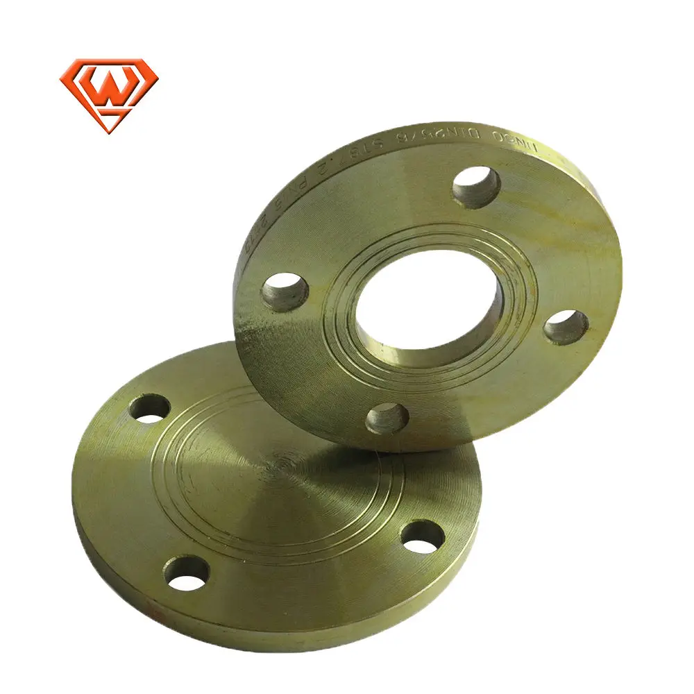 sockolet & weldolet connection Plate flange
