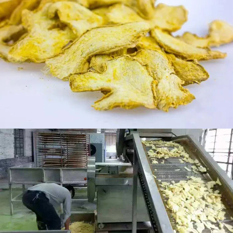 High Quality Ginger onion garlic carrots vegetables cleaning cutting slicing machine