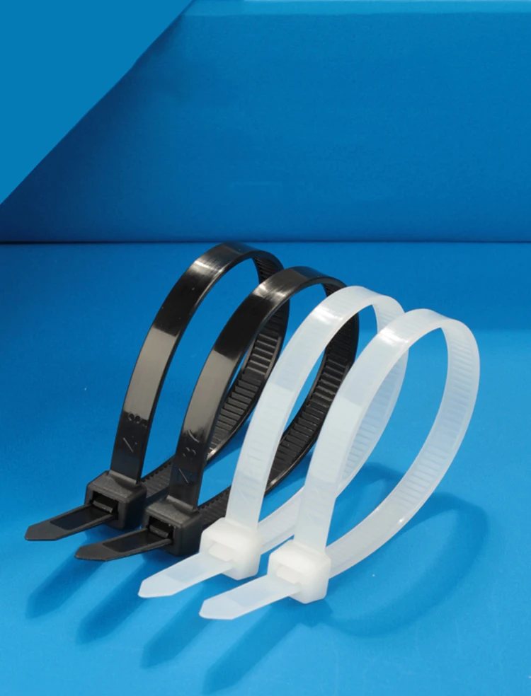 Z18A.jpg