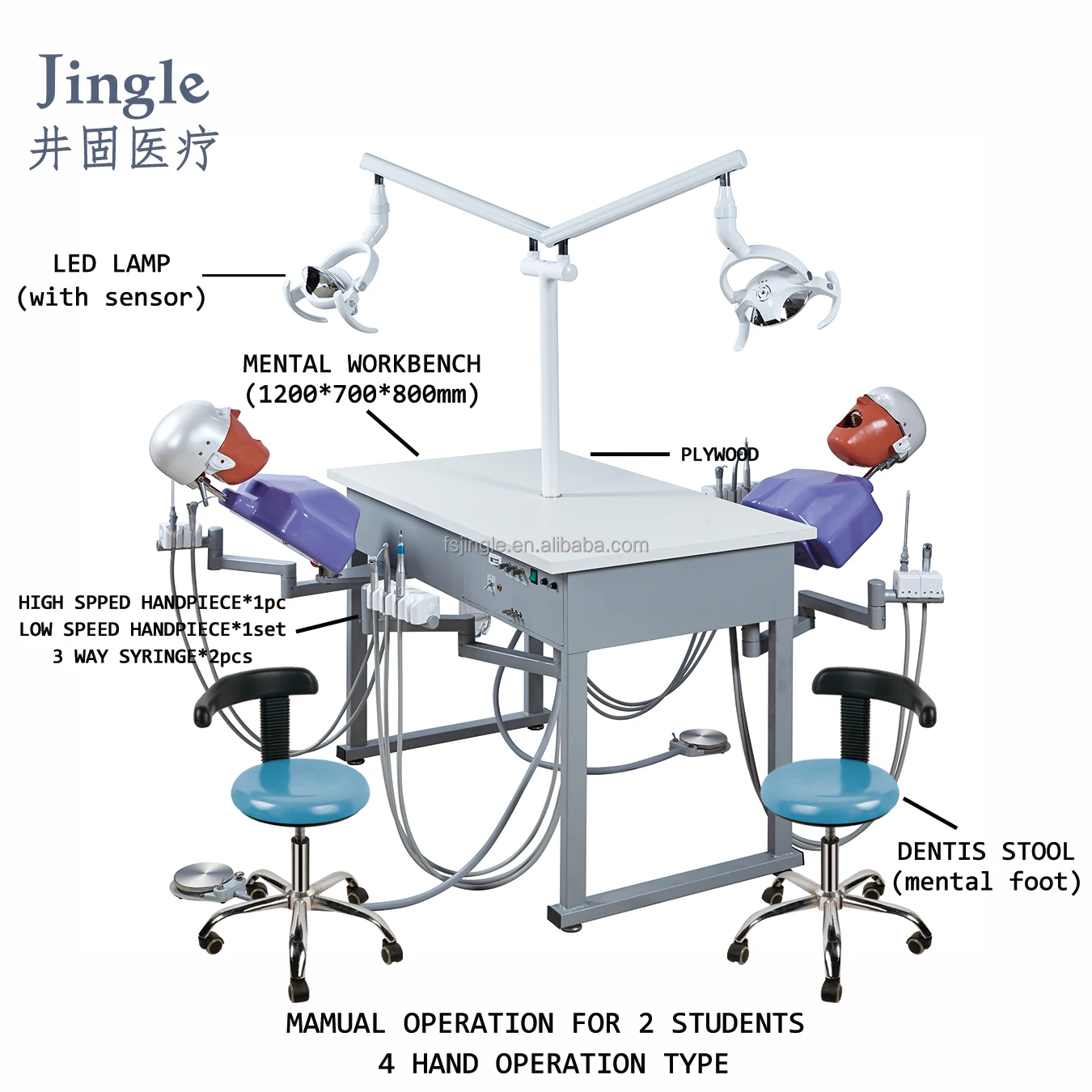 Four handed operation dental care model clinical teaching dental simulator