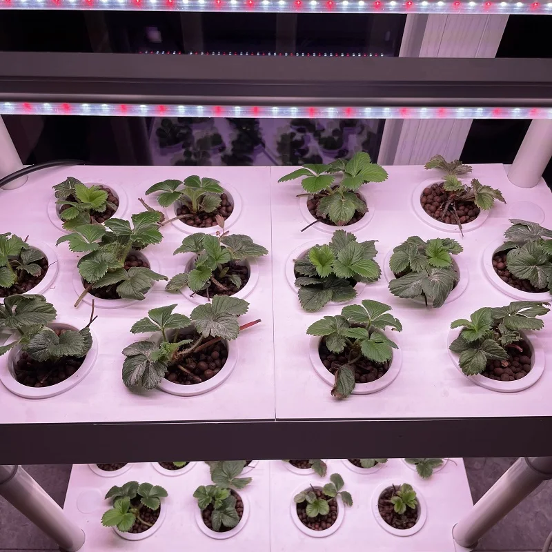 Hydroponics Growing System Garden Planting Tower With Full Spectrum LED  4 Layers 56 Plants Indoor Geenhous Equipment