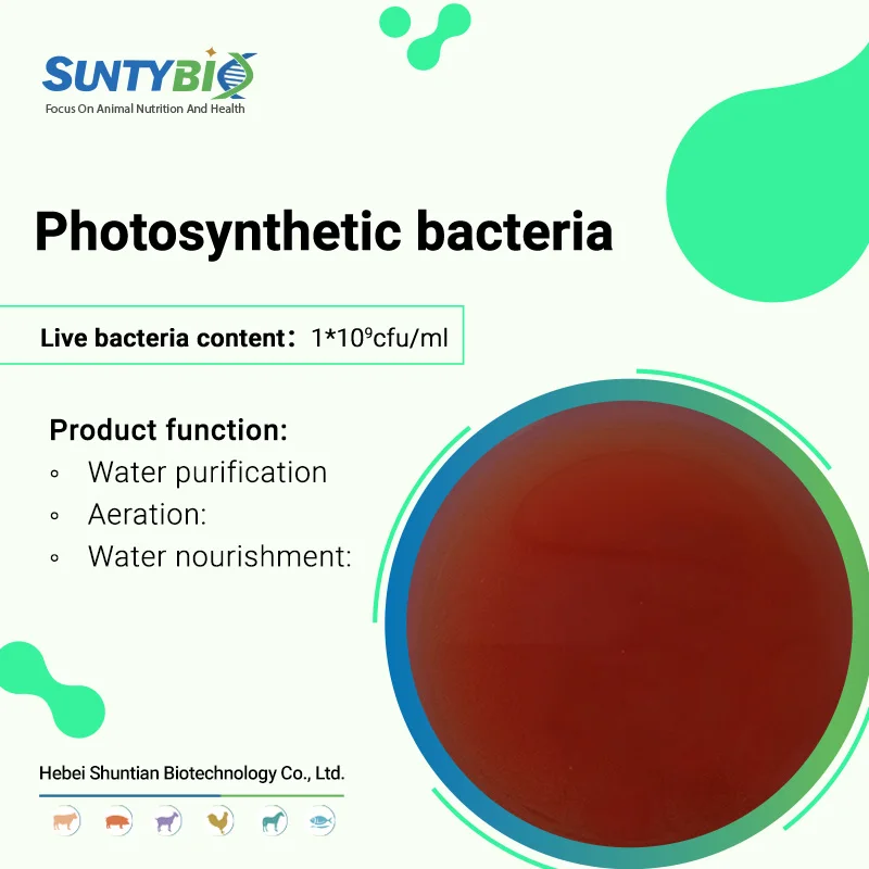 Rhodopseudomonas palustris микробная кормовая добавка для рыб креветок крабов черепах фотосинтезирующих бактерий