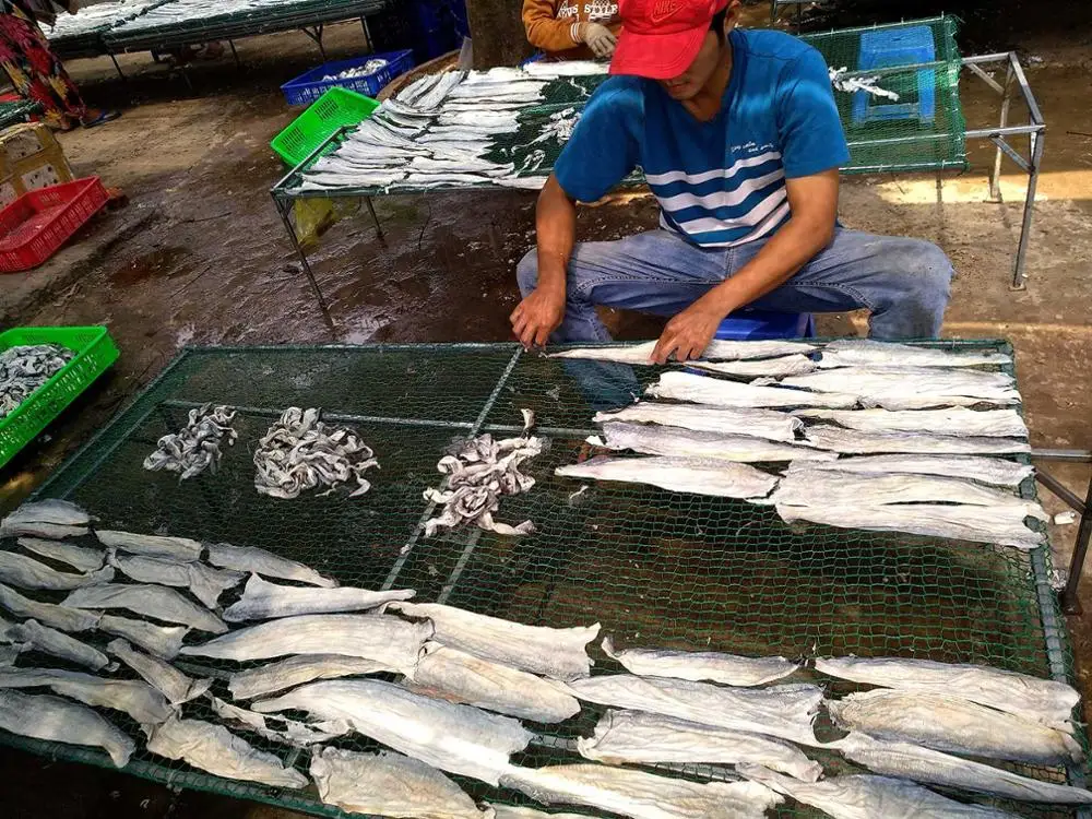 Горячая Распродажа, сушеная рыбья кожа Pangasius для закусок из Вьетнама