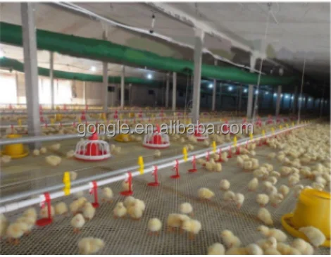 Automatic animal feeders poultry chicken farm feeding line broiler feeding and drinking system