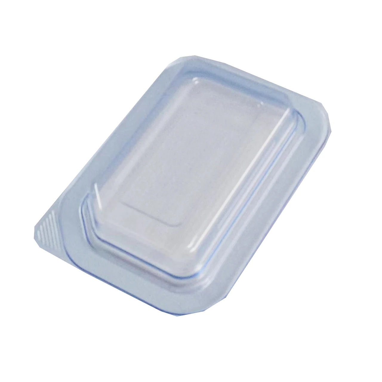Biodegradable Eco-friendly Plastic Blister Packaging Tray