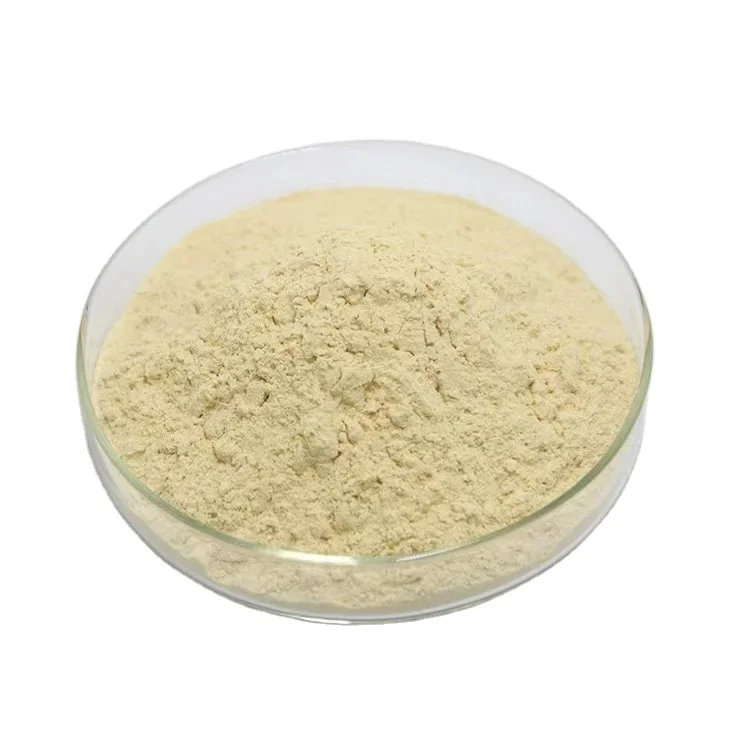 Manufacturers Supply Ginseng Saponin 5%-80% Ginseng Extract Powder