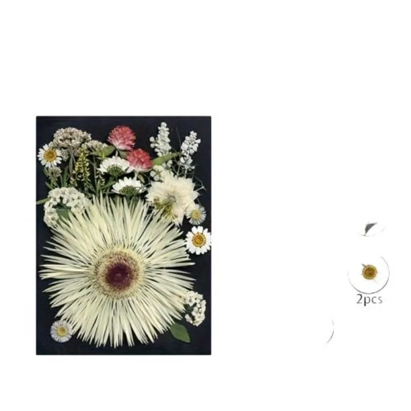 Wholesale Beauty Artistic  DIY Crafts  Resin Art  Decorations Home Decor Flower Pressing Toys