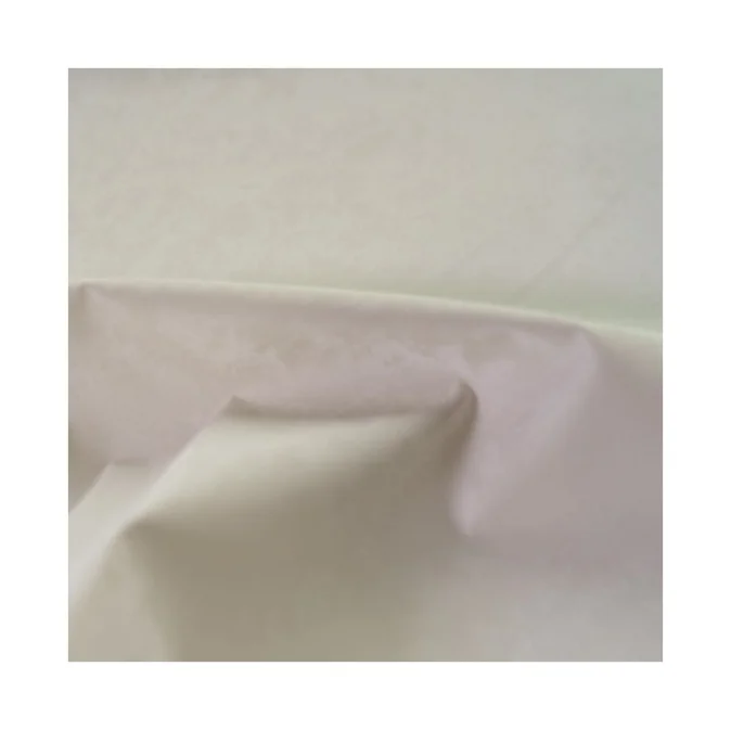 
Popular Dye Transfer Lamination 100% Polyester Fabric Proof Fabric Down Microfiber Fabric Jacket Woven OEKO-TEX STANDARD 100 75D 