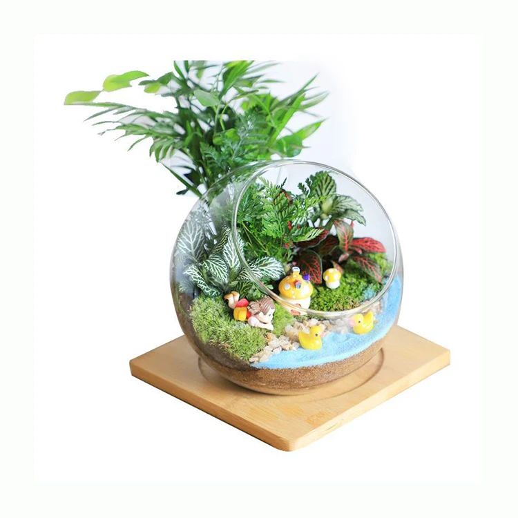 wholesale clear glass round terrarium with wooden base/table desk glass vase for succulent plant