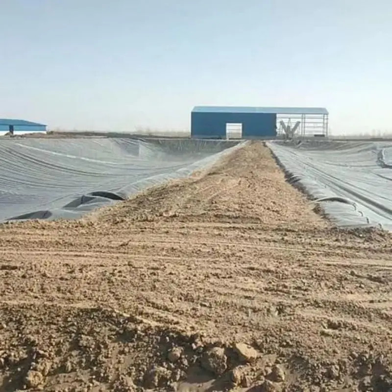 0,2-3,0 мм HDPE пруд лайнер HDPE лист 80 Мил Белый HDPE лайнер для горнодобывающего проекта в Перу
