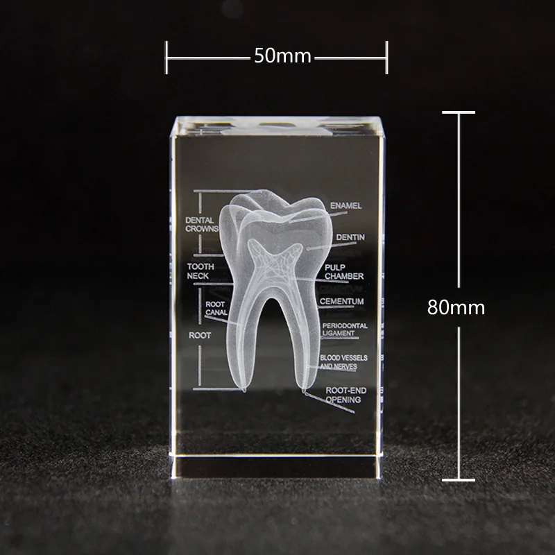 Hot Sales Led Crystal Table Lamp With Tooth Skulls Etched 3D Carved Crystal Block RGB Night Light Gifts For Dentist And Doctors