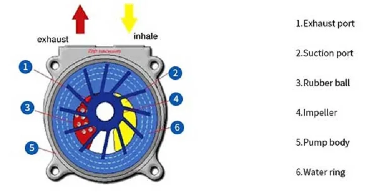 2BV structure2