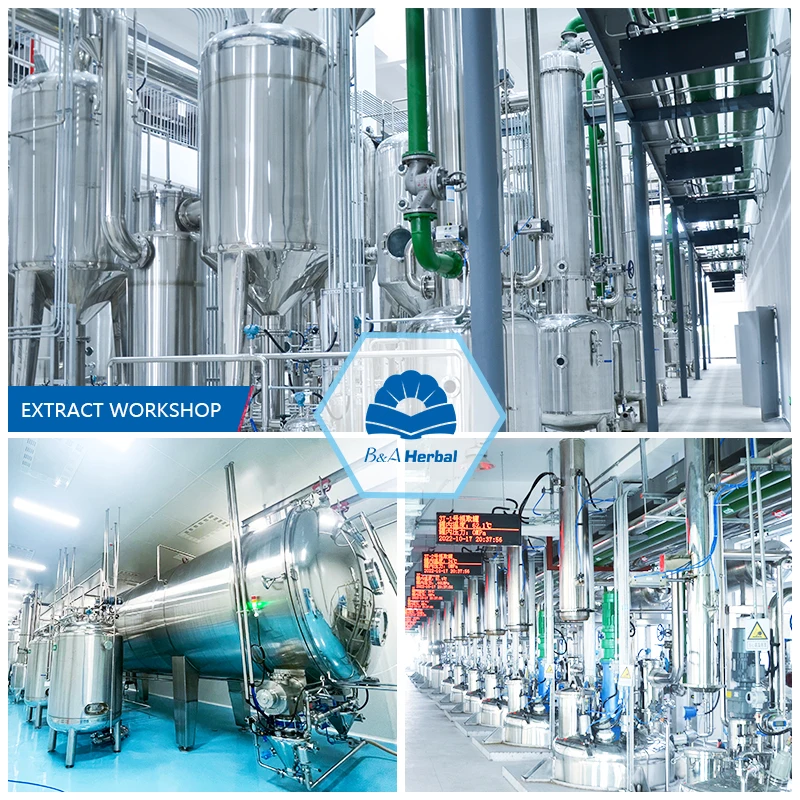 Pure Natural China Cang Zhu Wordlike Atractylodes Rhizome Extract Atractylodin HPLC for Sale