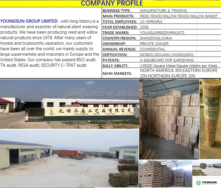 COMPANY PROFILE--2.JPG