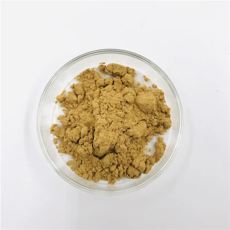 Оптовая продажа экстракт Lonicera Japonica порошок Хлорогеновой кислоты цветка жимолости