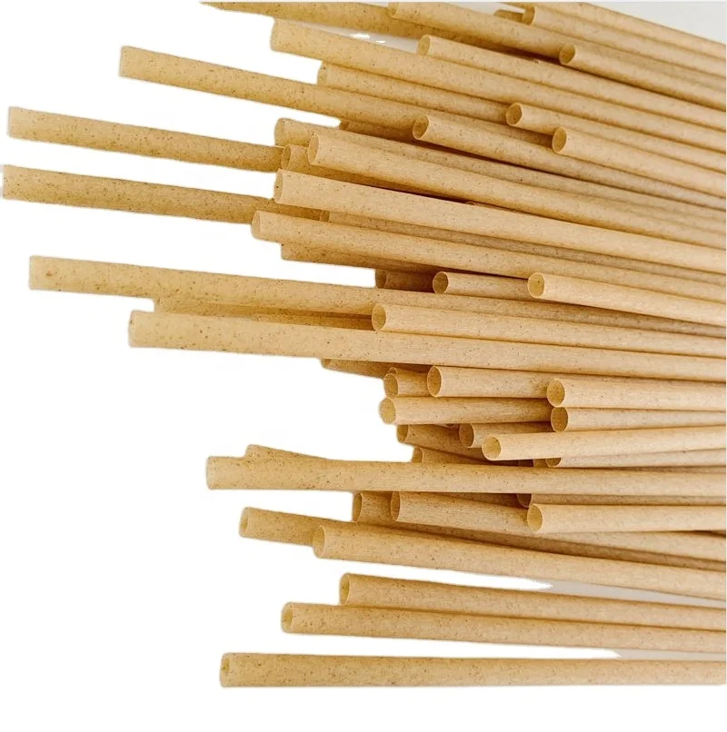 agave disposable ECO friendly bagasse biodegradable sugarcane straw