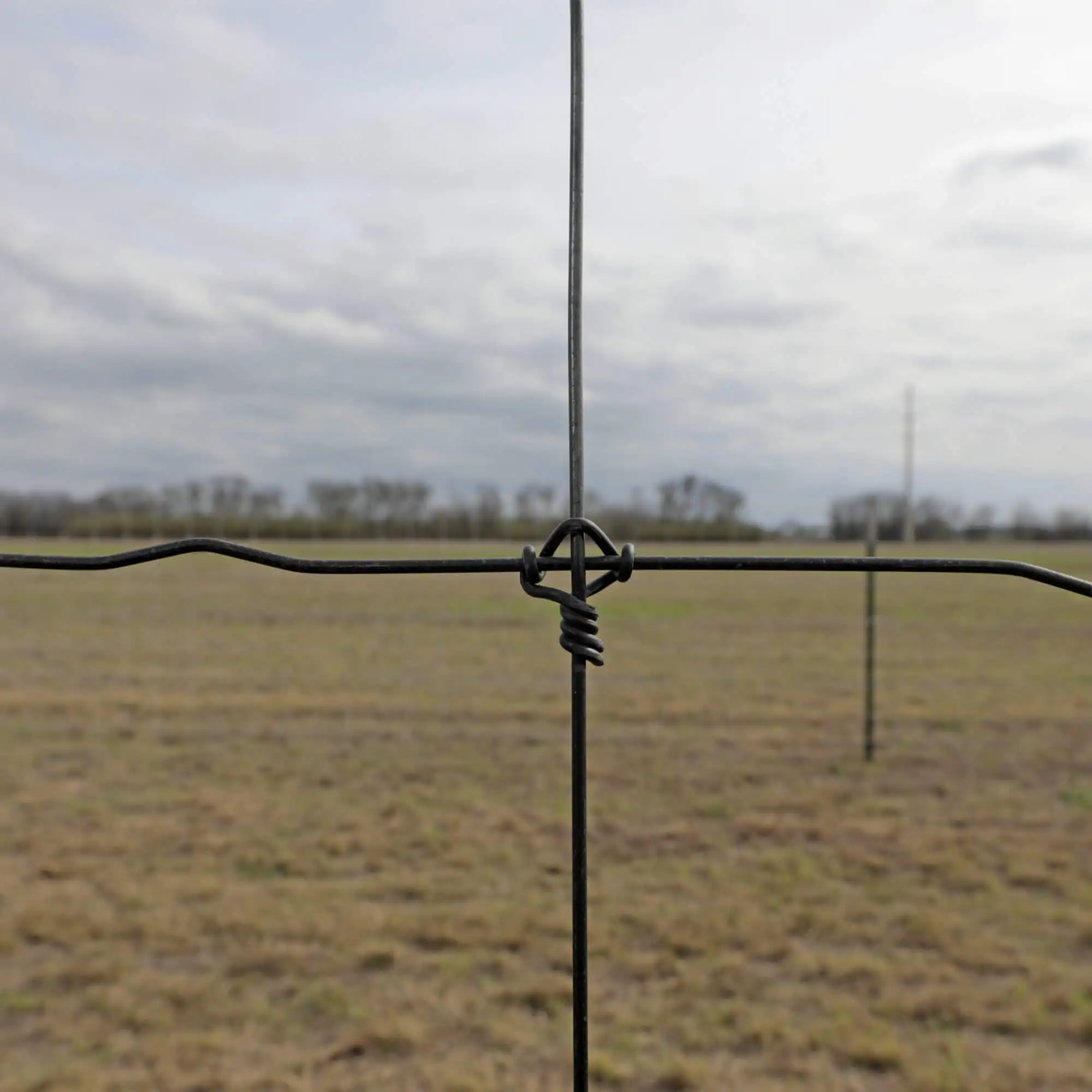 Hot Sale Galvanized Steel Deer Horse Fence Cattle Goat Farm Fence deer netting