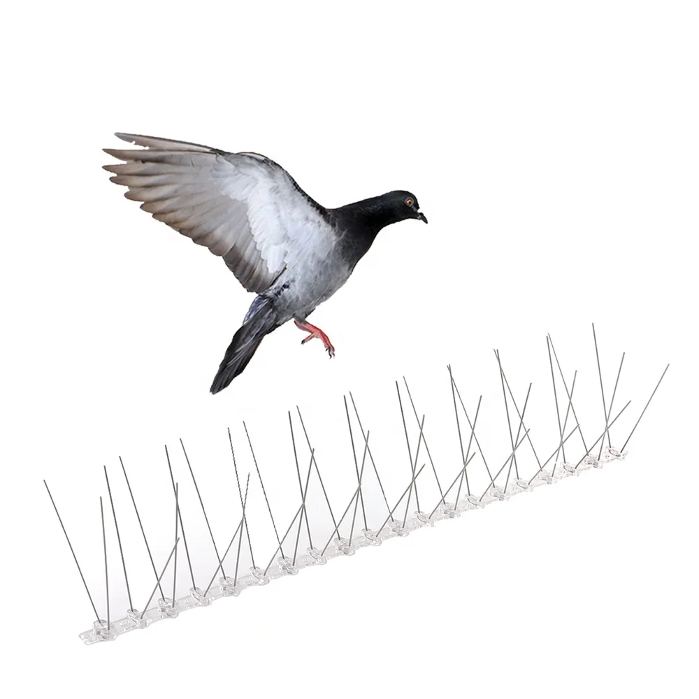 Hot Factory Pigeon Scarers Bird Spike Anti Spikes Rat Control