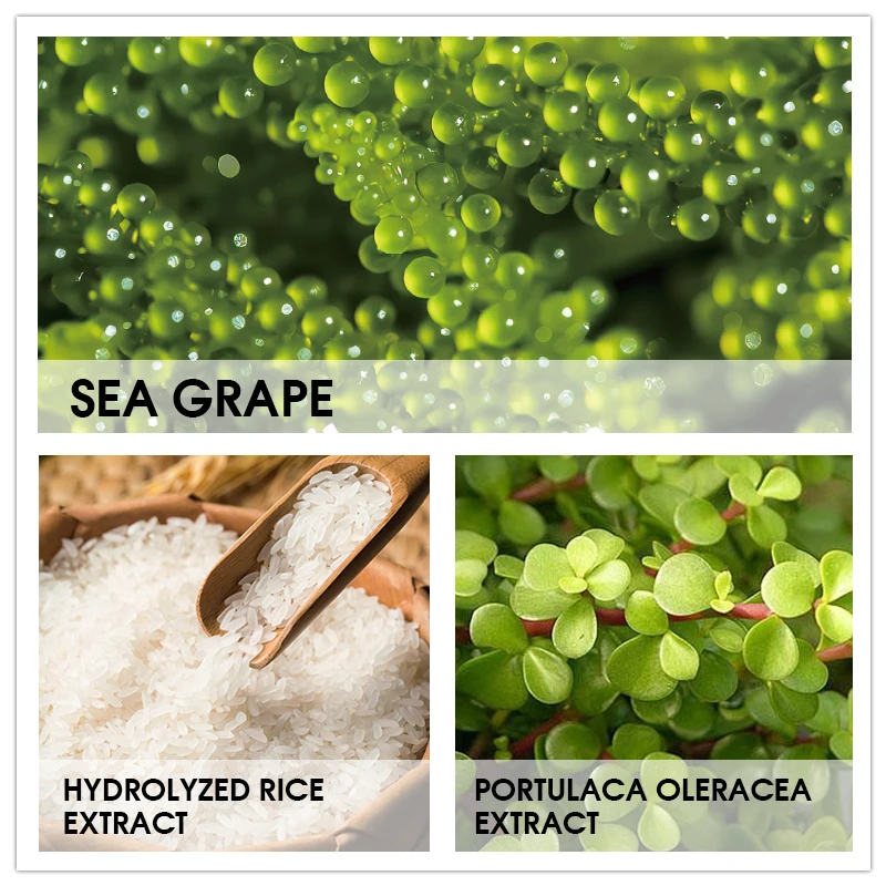 Cosmetics Products----South Korea Facial Cleanser Paraben-free Moisturizing and Sea Grape & Portulaca Hydrating Face Wash