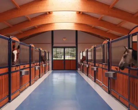 horse barn door, barns for horses, horse barn kits