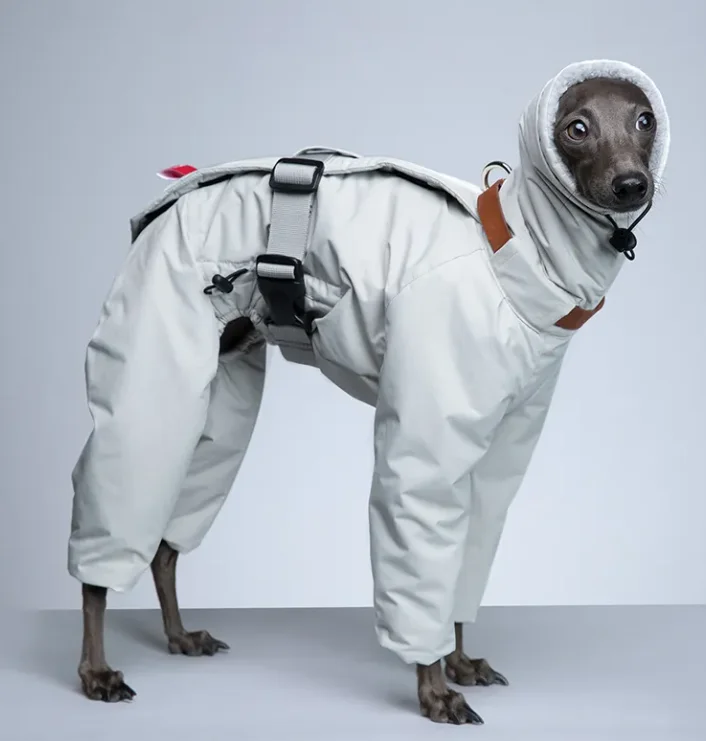 Wholesale Pet clothes products Customized Plus fleece thickened waterproof dog clothes winter large dog jacket pet clothes