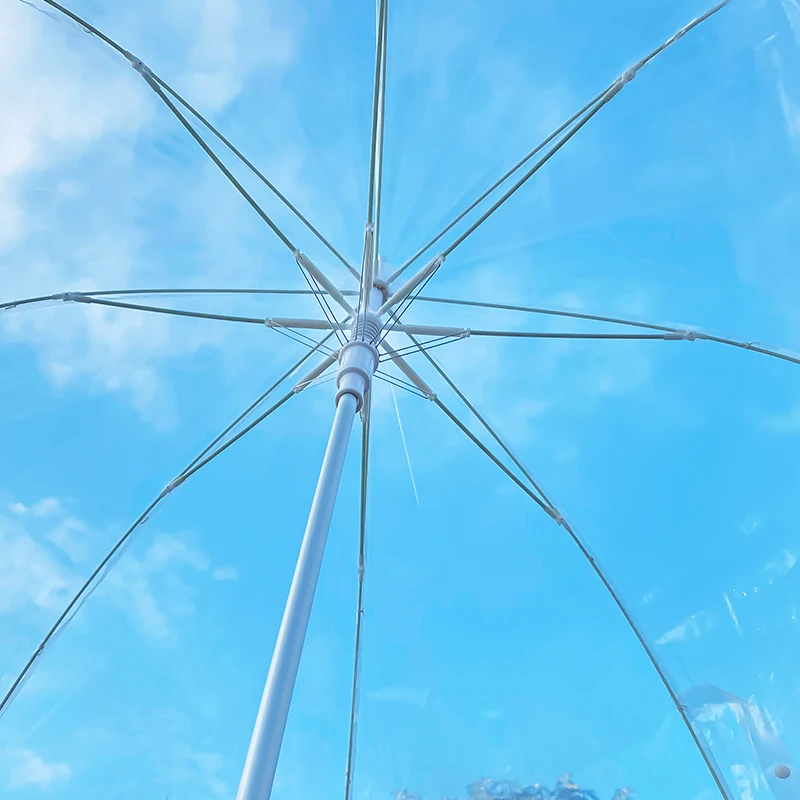 25 Inches Custom Logo Stick Umbrella New Design Strong Windproof Transparent Straight Umbrella