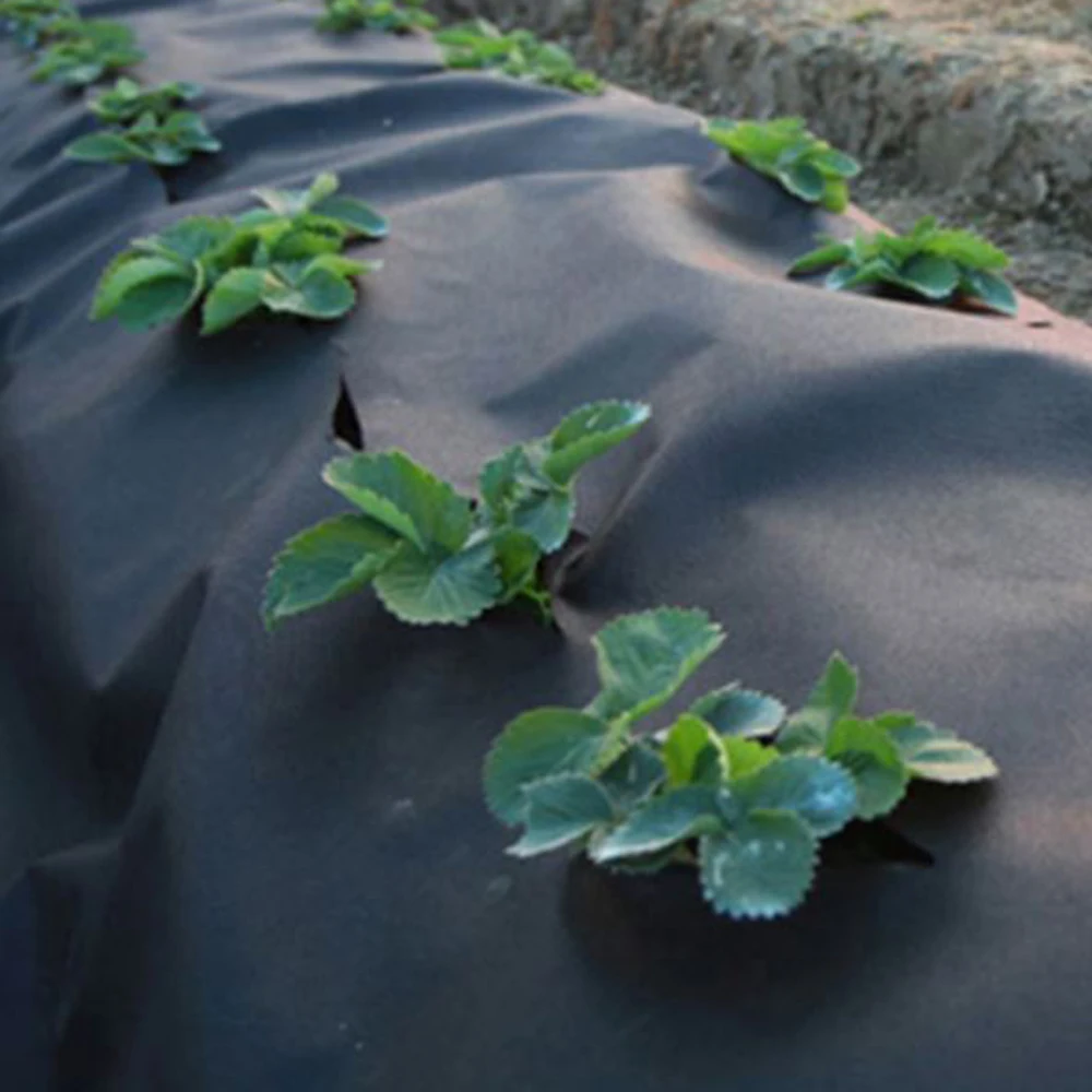 China Manufacturer Nonwoven Fabric for Plant Growing/Weed Control/Weed Mat Ground Cover