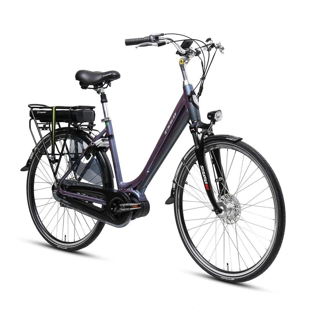 250W adult electric city bicycle