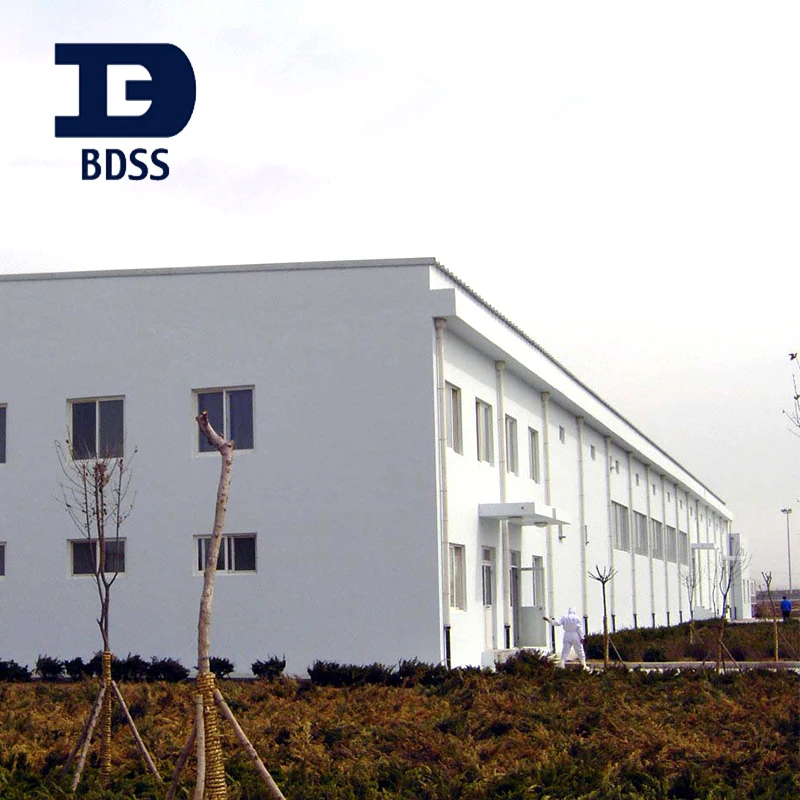 
Prefabricated Steel Structure Warehouse Steel Frame Buildings 