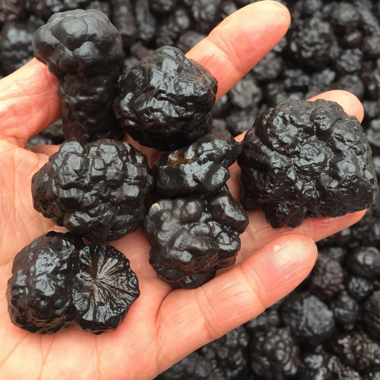 Black Meteorite Carbonado Minerales Specimen Prophecy Stone manganese nodule raw stone gem natural crystal ore Iron Meteorites