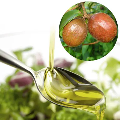 Organic cold pressed wild camellia seed oils baby oil bulk for skin care