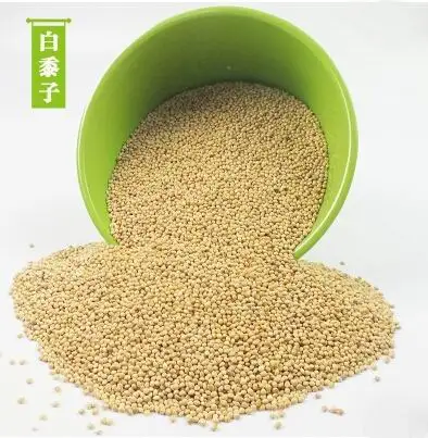 
Yellow Glutinous Broomcorn Millet for bird food 