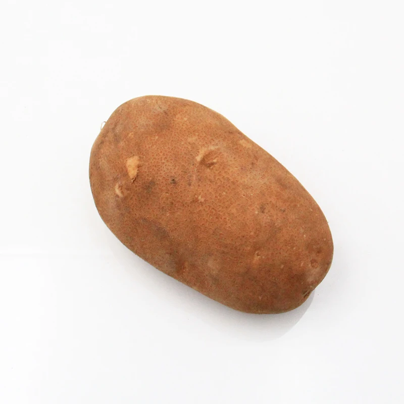 
Delicious Frozen French Frozen Style and Potato Type Frozen French Fries 