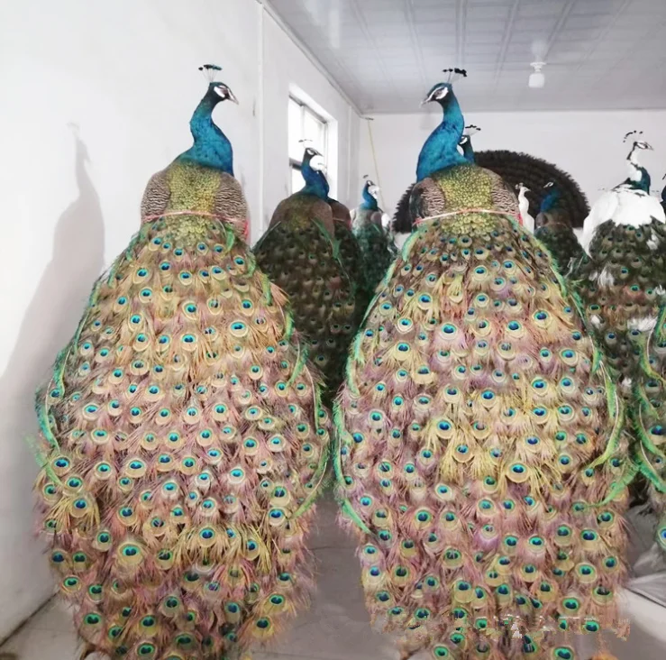High quality simulated animal Christmas Wedding decoration supplies elegant crafts blue white peacock for shopping home ornament